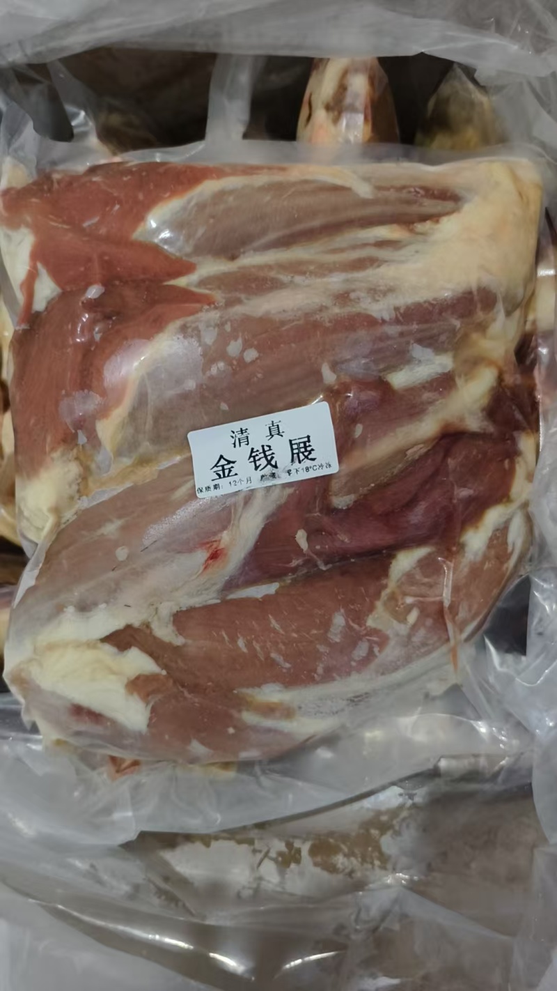 金钱腱