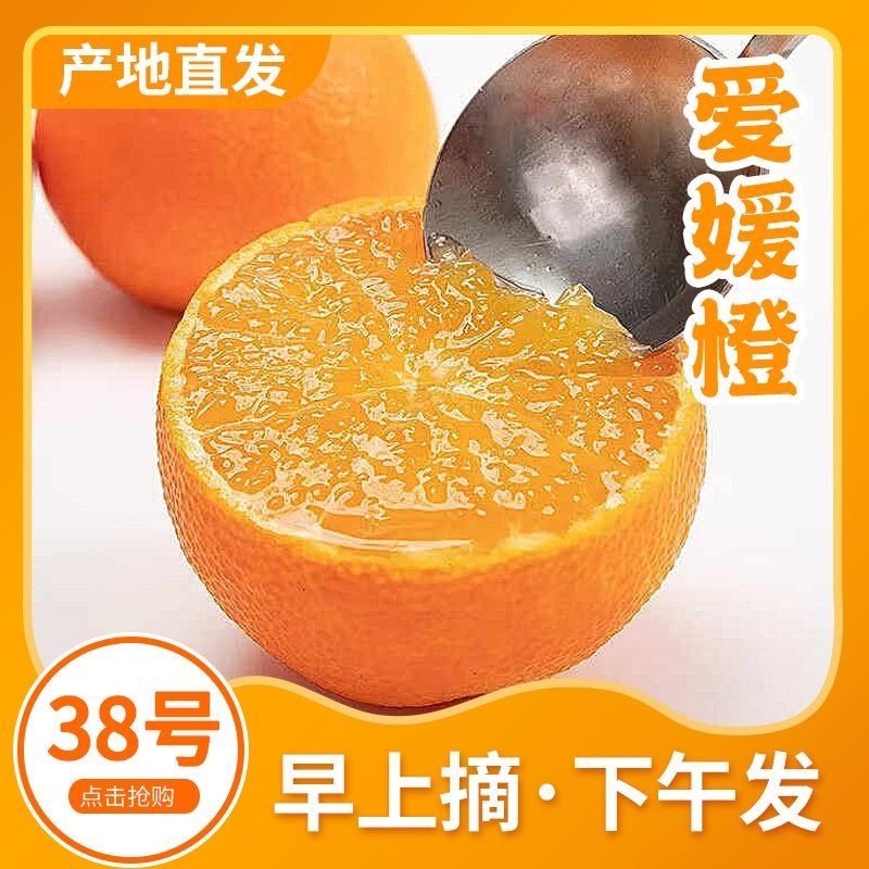 四川爱缘果冻橙一件代发【5斤】