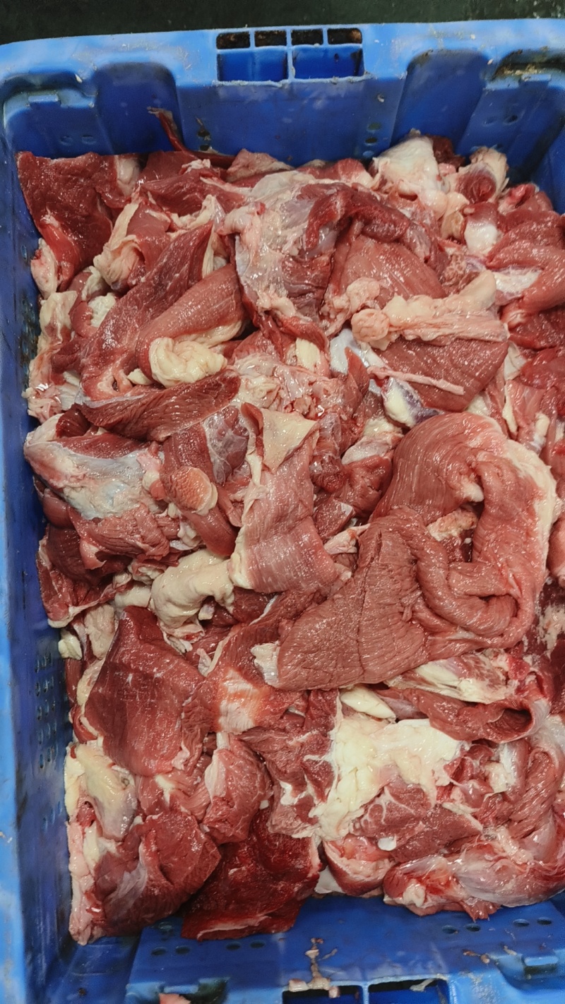 牛肉筋