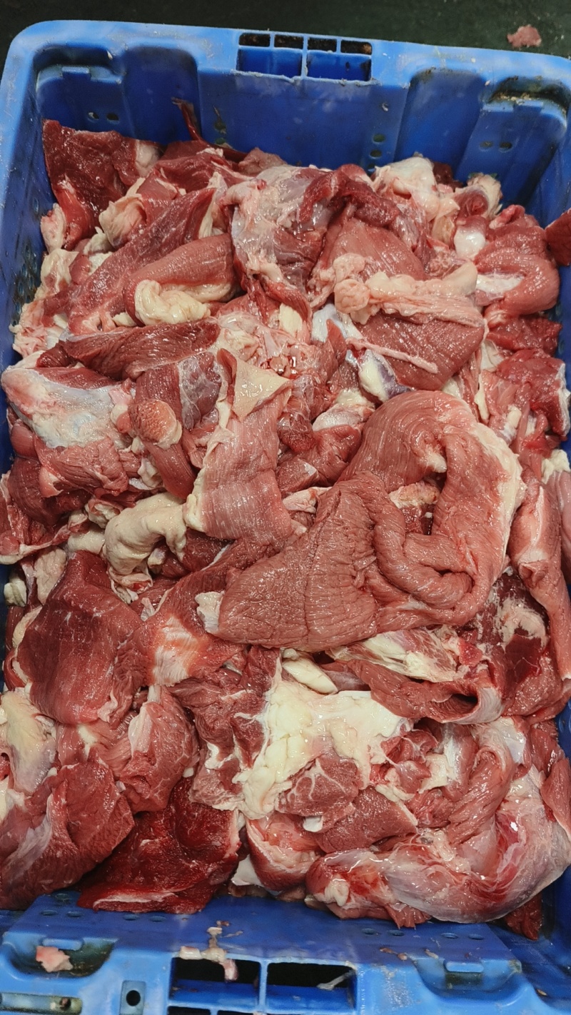 牛肉筋