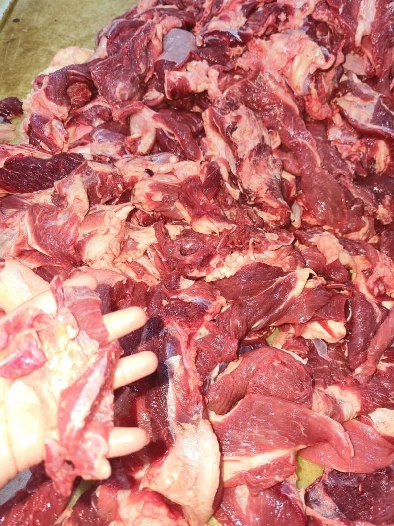 牛肉筋