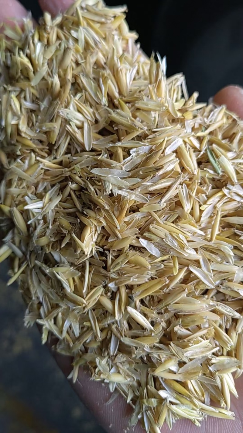 俄罗斯优质燕麦壳现货
