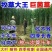 高产型巨菌草种节多年生四季耐寒无毛牧草养牛羊猪专用可过冬