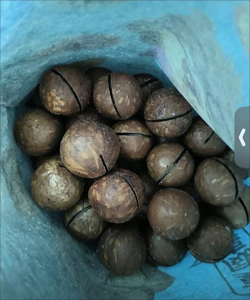 夏威夷果电商代发**市场档口电商一件代发，抖音多多快手