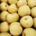 酥梨安徽砀山酥梨金顶谢花酥梨商超电商代收代发全国
