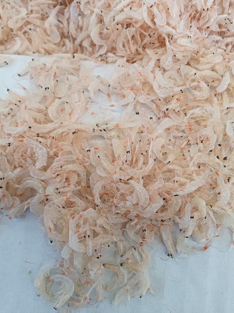 微盐虾皮！流水线虾皮！干度中等！干净无杂质！