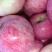 红富士河南苹果🍎产地直销量大从优可视频看货对接全国