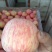 红富士河南苹果🍎产地直销量大从优可视频看货对接全国