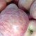 红富士河南苹果🍎产地直销量大从优可视频看货对接全国