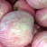 红富士河南苹果🍎产地直销量大从优可视频看货对接全国