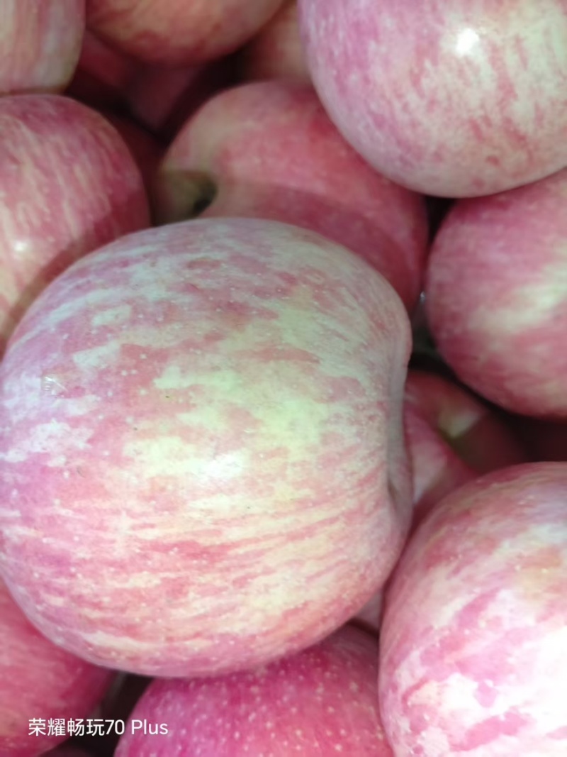 红富士河南苹果🍎产地直销量大从优可视频看货对接全国