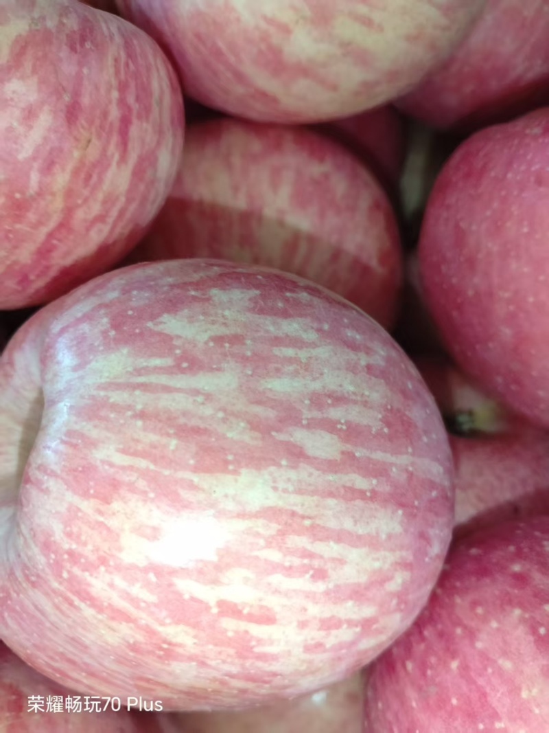 红富士河南苹果🍎产地直销量大从优可视频看货对接全国
