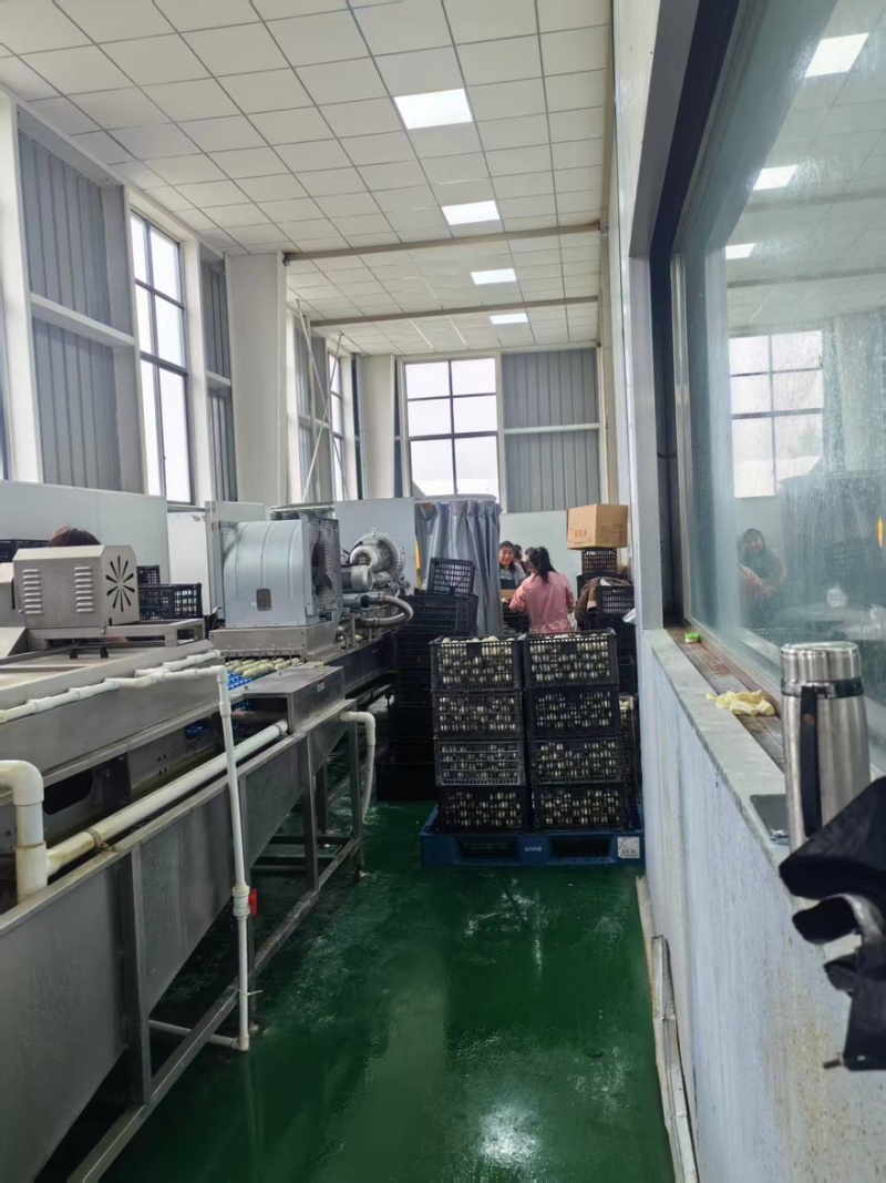 溏心松花蛋大量有货厂地直发货源保障价格实惠