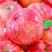 红富士河南苹果🍎产地直销量大从优可视频看货对接全国