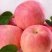 红富士河南苹果🍎产地直销量大从优可视频看货对接全国