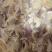 商用夫妻肺片大包装整件发凉拌菜预制菜品商用纯干货