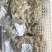 商用夫妻肺片大包装整件发凉拌菜预制菜品商用纯干货