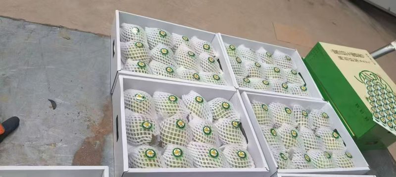 隰县玉露香梨上市啦