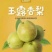 隰县玉露香梨上市啦