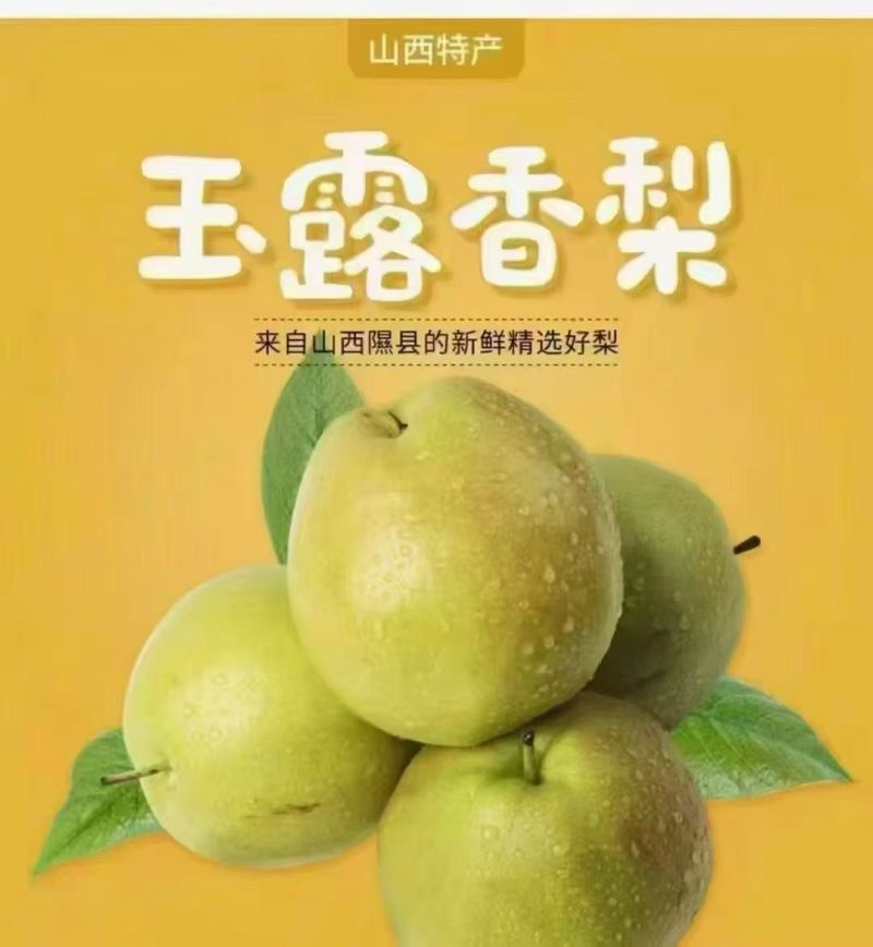 隰县玉露香梨上市啦