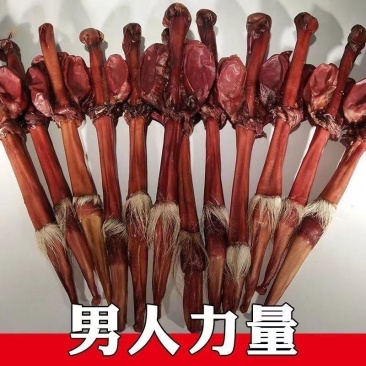 鹿鞭干吉林鹿鞭整根带证鹿鞭酒泡酒料男性鹿鞭片正品泡酒药材