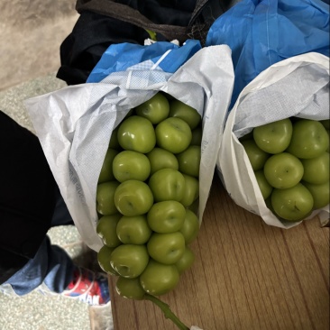 阳光玫瑰