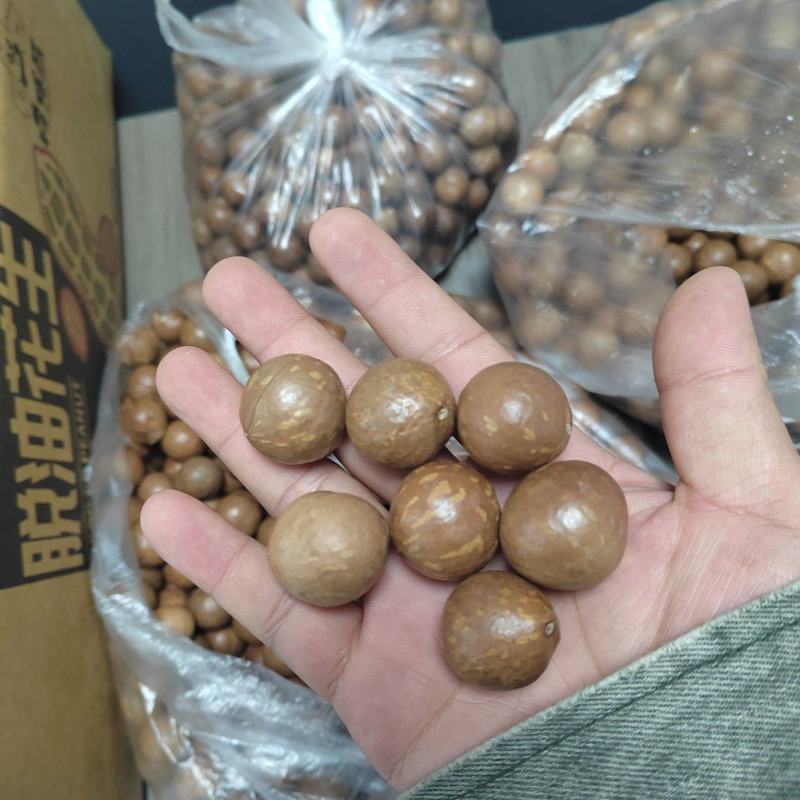 专业夏威夷果供应商，规格齐全，现货库存充足。支持电商一件