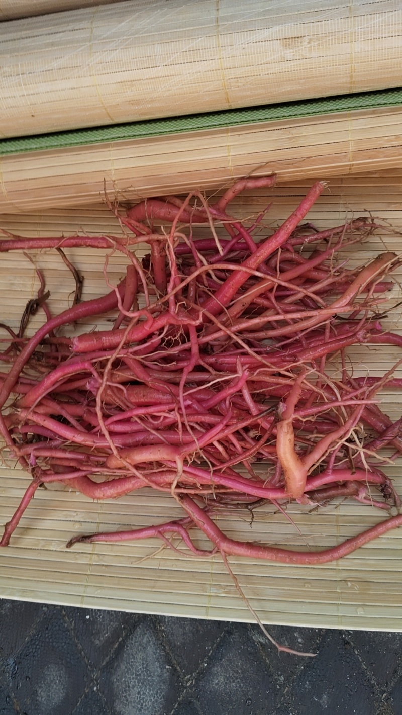 红牛漆