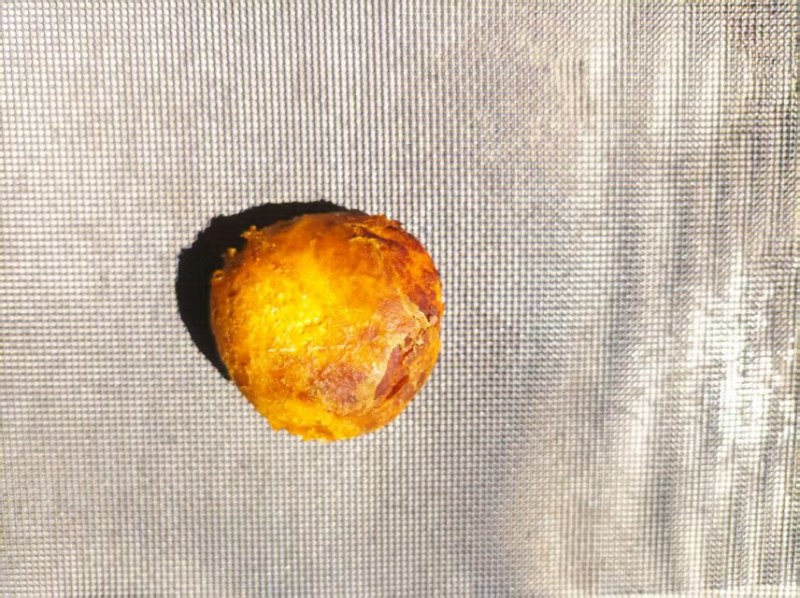鸡宝刚刚出炉可以视频可以现场看货