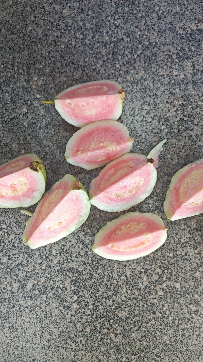 大量红色芭乐，白色芭乐市场电商果，工厂果