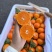 【广西沙糖桔】金秋沙糖桔皮薄多汁供应市场电商商超