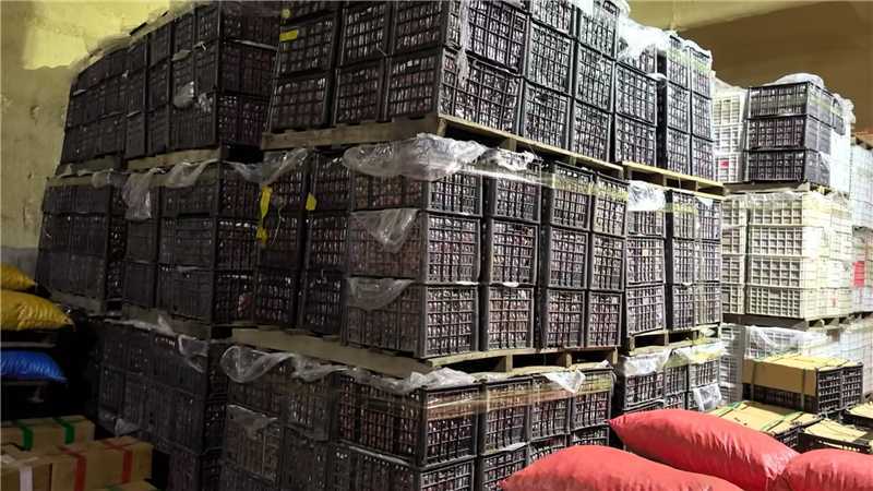 河北精品北峪板栗产地直发规格齐全保质保量欢迎随时联系