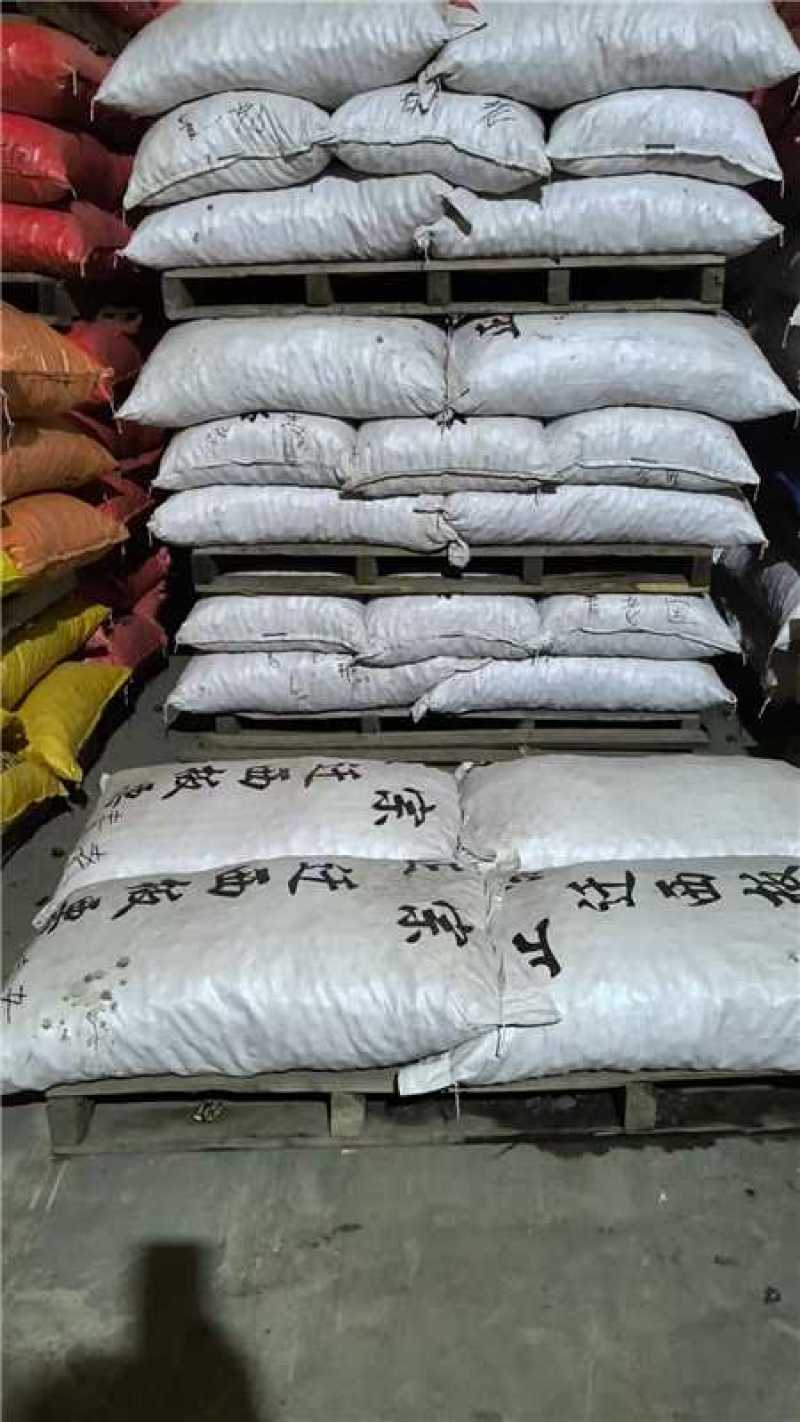河北精品北峪板栗产地直发规格齐全保质保量欢迎随时联系