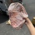 国产羔羊肉排