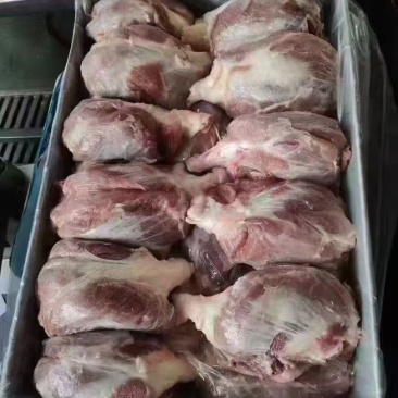 猪龟腱肉