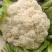 松花菜小米粒花菜安徽白面青梗散花货源稳定代收代