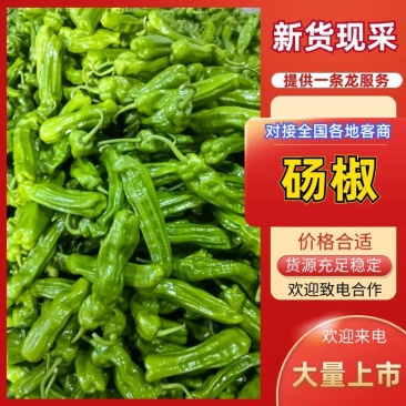 砀椒芜湖椒可视频看货对接市场批发商超辣椒上市