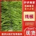 青线椒二荆条辣椒山东临沂费县鲜辣椒大量上市量大从优