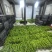 青线椒二荆条辣椒山东临沂费县鲜辣椒大量上市量大从优