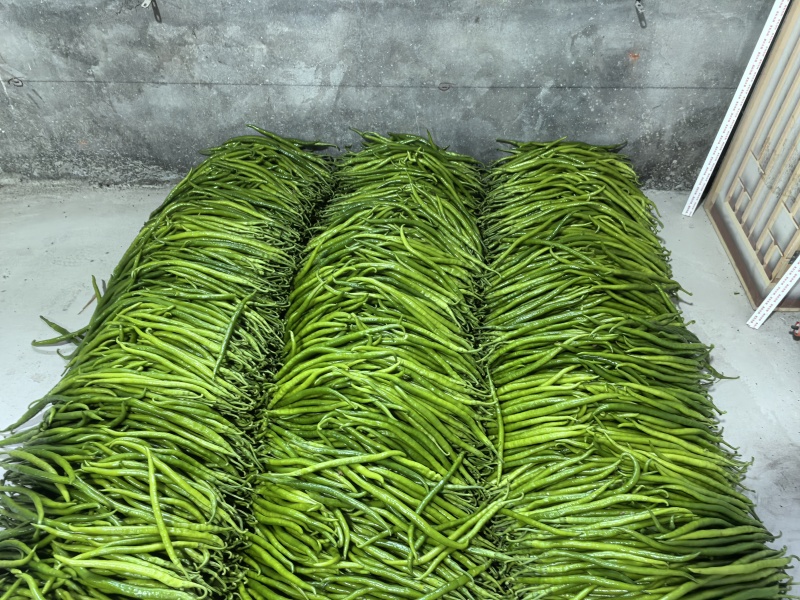 鲜辣椒301辣椒牛角椒，螺丝椒，砀椒芜湖椒，线椒品种齐全