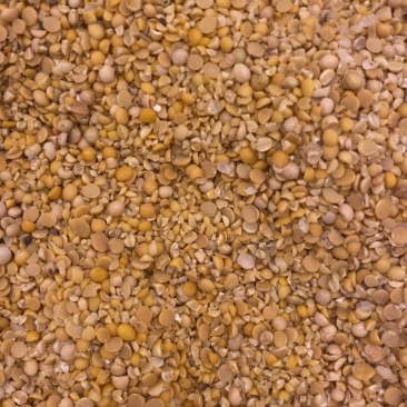 碎黄豆瓣