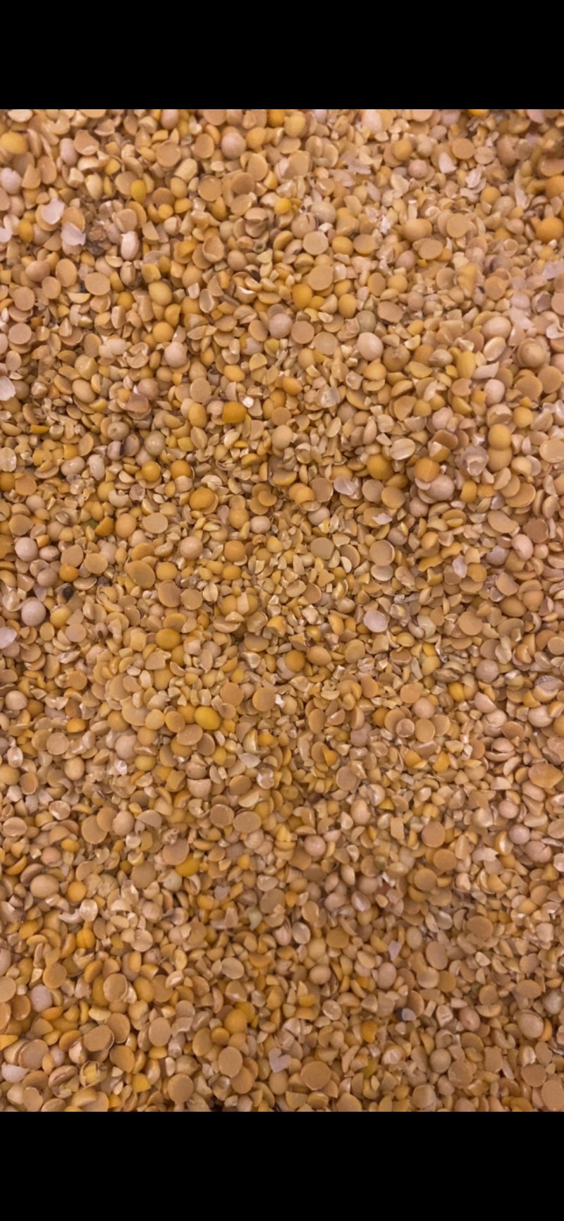 碎黄豆瓣