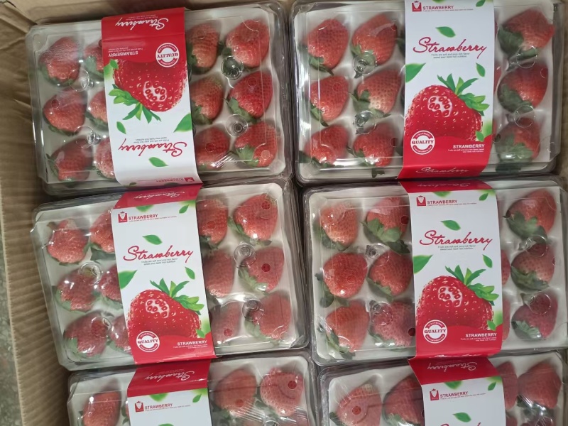 宁玉奶油草莓商超，批发大量供货，支持一件代发
