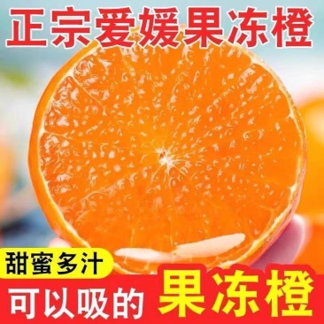 湖南爱媛橙上市/品质保证/皮薄多汁/可以吸着吃的爱媛橙