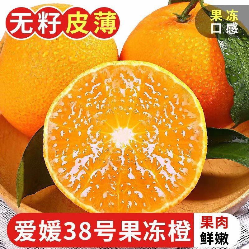 《果冻橙》大量供应/现摘现发/品质上乘/皮薄多汁欢迎来电