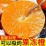 《果冻橙》大量供应/现摘现发/品质上乘/皮薄多汁欢迎来电