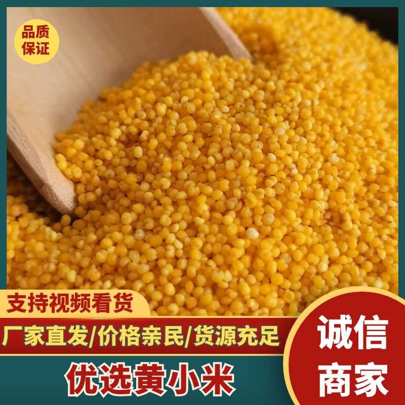 小米月子米，香糯，5斤装10斤装50斤装