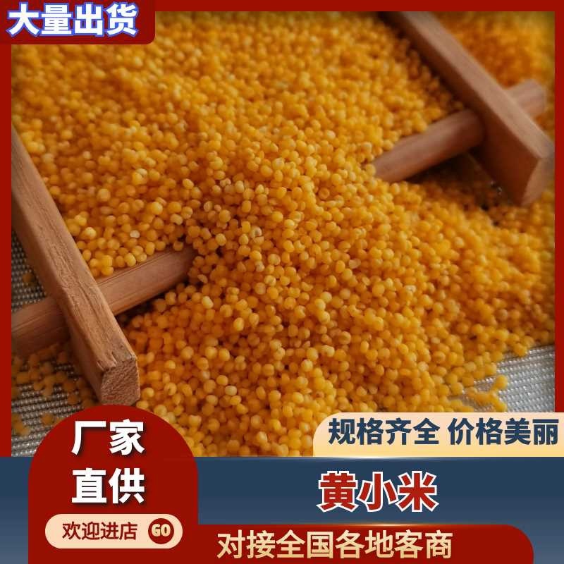 小米月子米，香糯，5斤装10斤装50斤装