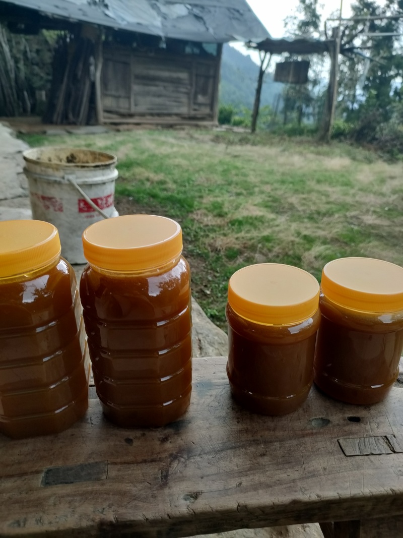来自深山的农家土蜂蜜，现货80斤。