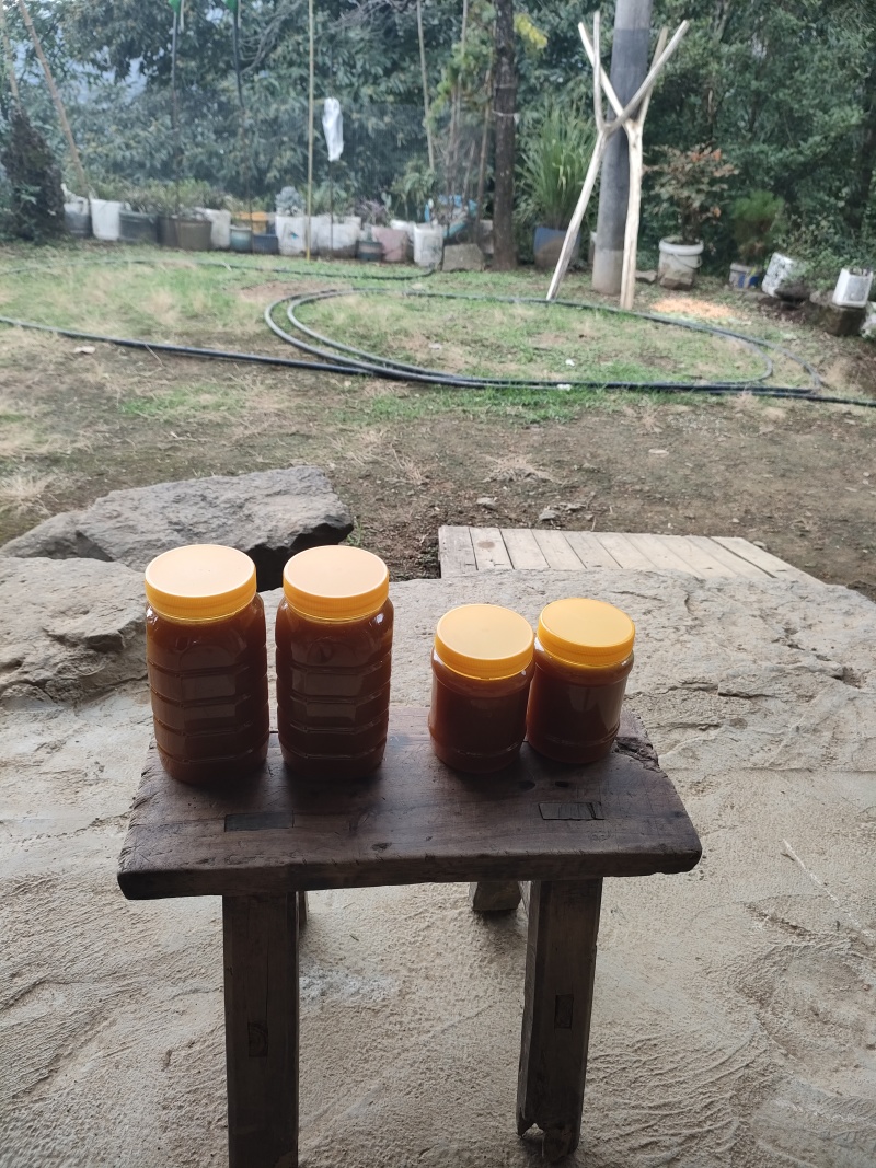 来自深山的农家土蜂蜜，现货80斤。